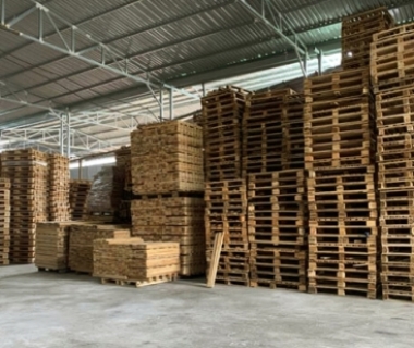 Cung cấp pallet gỗ chất lượng tại Bình Dương — Giải pháp tối ưu cho kho hàng & logistics