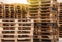 Kinh nghiệm chọn mua pallet gỗ để đệm hàng hóa  Kinh nghiệm chọn mua pallet gỗ để đệm hàng hóa