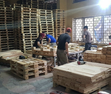 Phương pháp bảo quản pallet gỗ đúng cách ? 